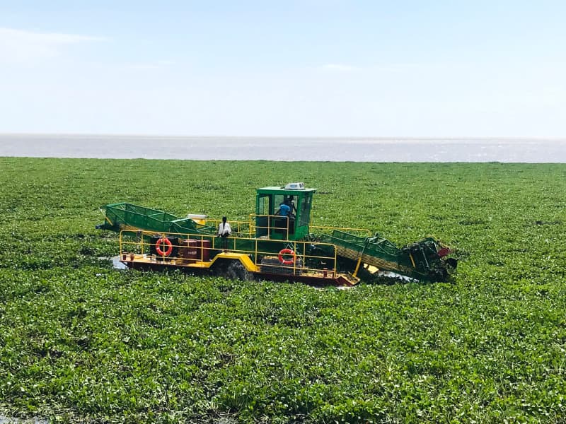 قارب حصاد الأعشاب المائية، قارب تنظيف المياه، قارب كاشط للنفايات