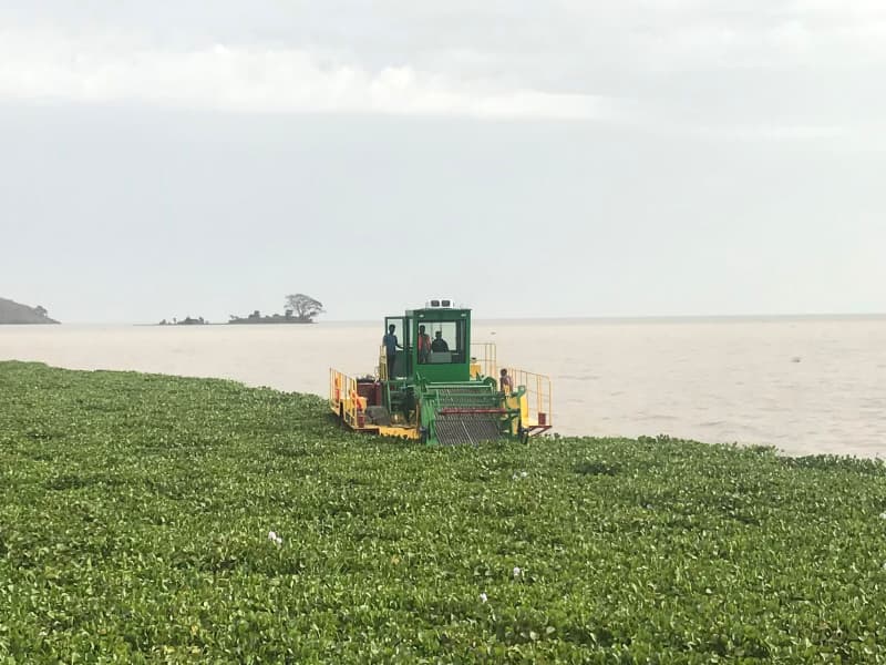 سفينة تنظيف المياه الأوتوماتيكية / حصادة الأعشاب المائية / قارب كاشط للنفايات