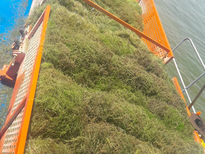 سفينة تنظيف المياه الأوتوماتيكية / حصادة الأعشاب المائية / قارب كاشط للنفايات