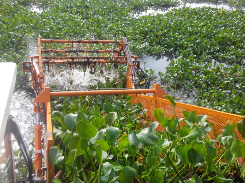 سفينة تنظيف المياه الأوتوماتيكية / حصادة الأعشاب المائية / قارب كاشط للنفايات