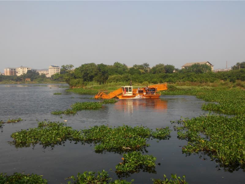 سفينة تنظيف المياه الأوتوماتيكية / حصادة الأعشاب المائية / قارب كاشط للنفايات